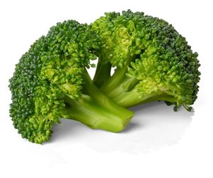 can dog eat broccoli