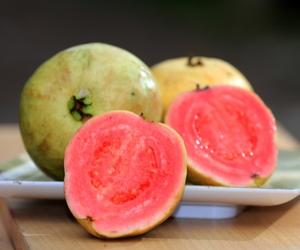 Red Guava