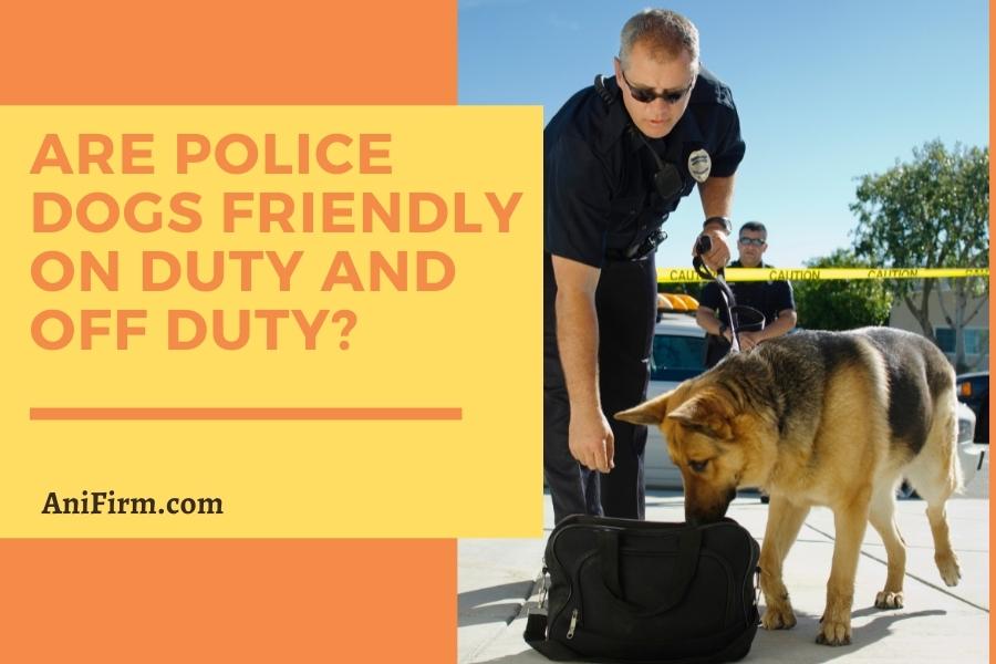 Are Police Dogs Friendly on Duty and Off Duty
