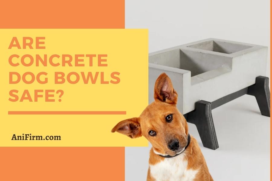 are concrete dog bowls safe