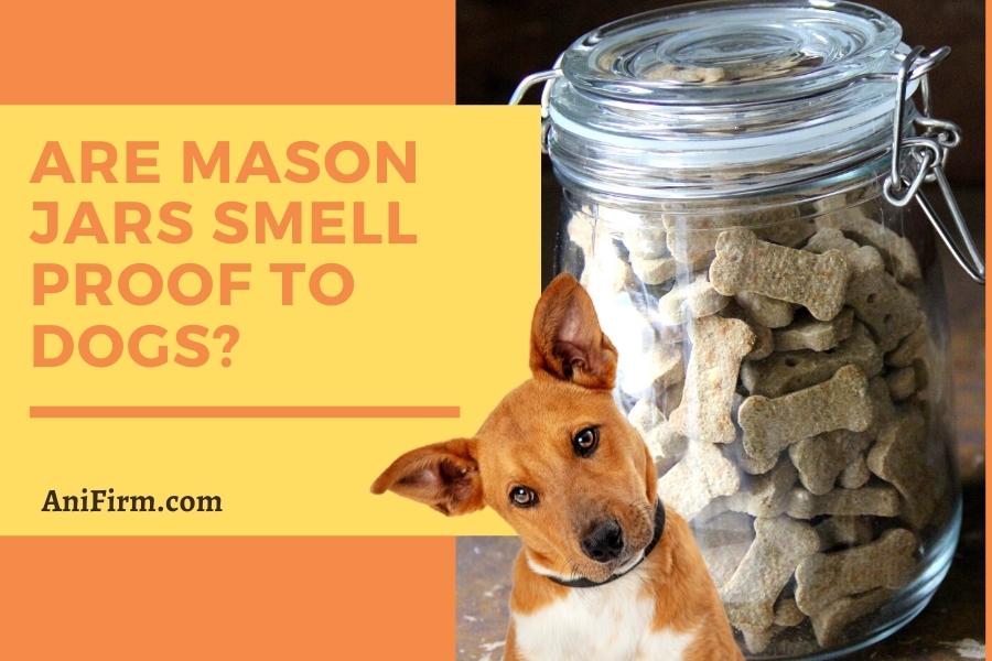 are mason jars smell proof to dogs